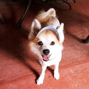 Meet your Posher, Jaylene